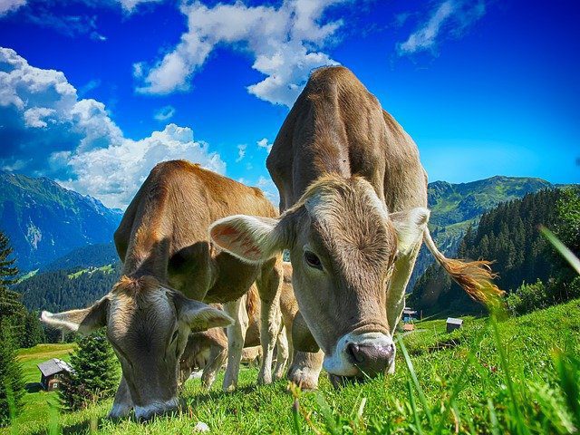 enquêtes auprès des agriculteurs enquêtes auprès des agriculteurs